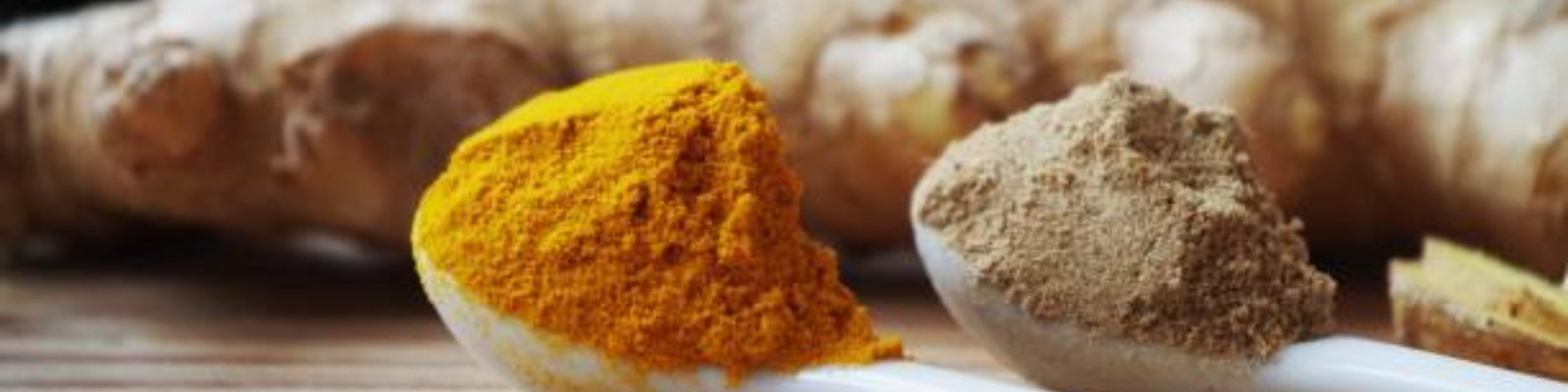 Turmeric & Ginger: The Dynamic Duo in Ayurvedic Healing