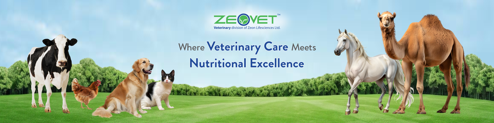 Veterinary-Nutrition